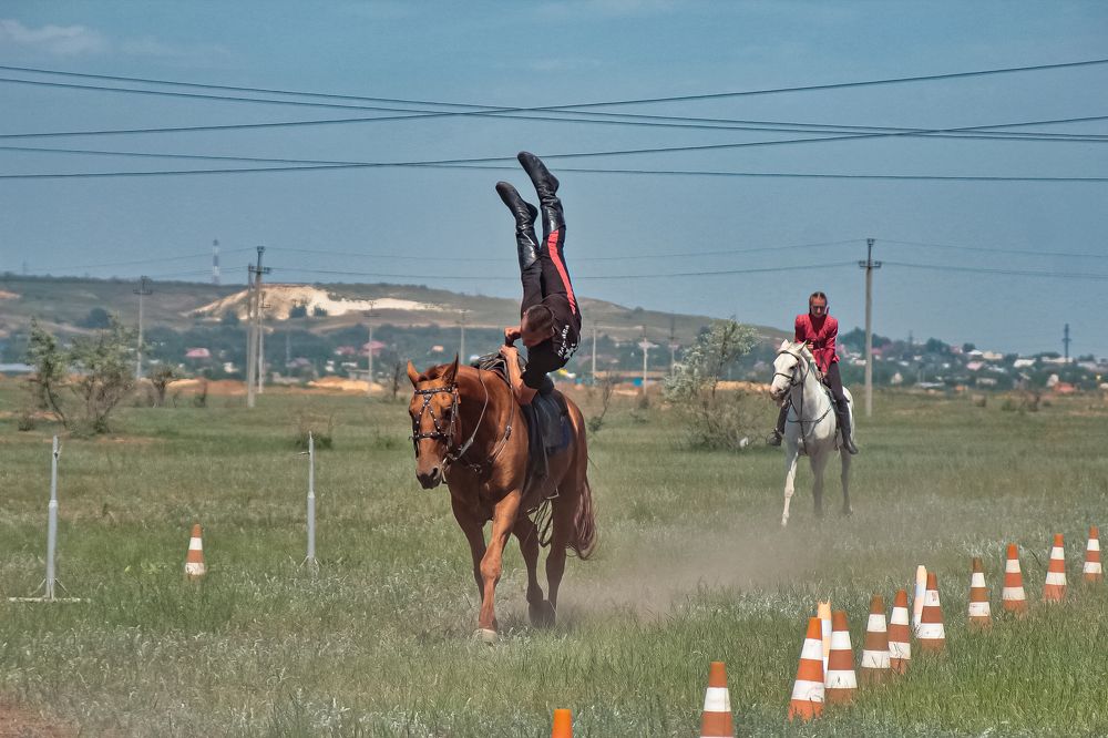 Photograph by Ирина Шибитова