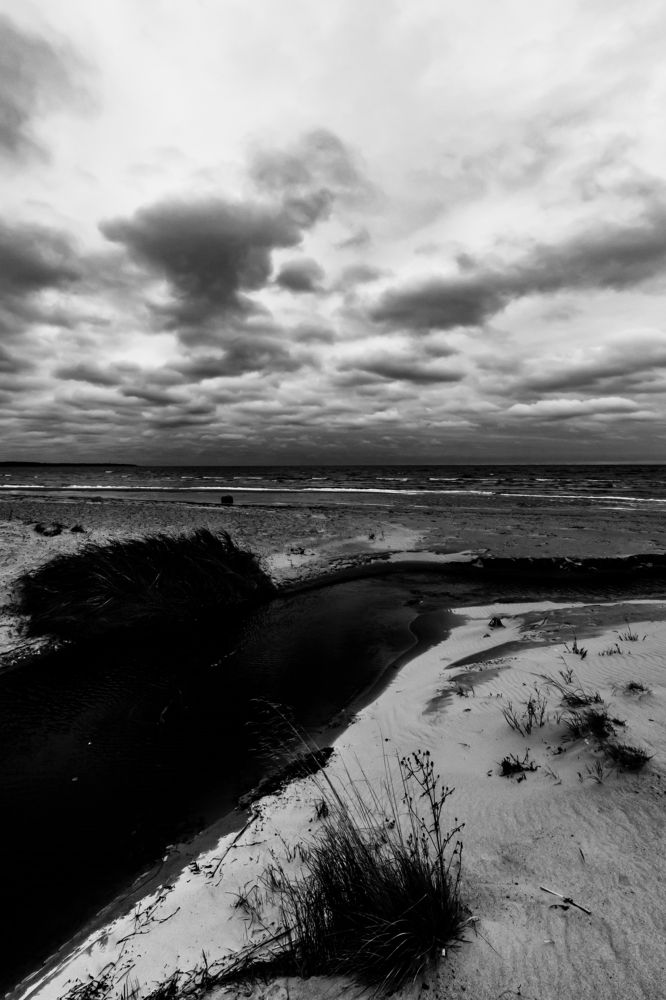 Фотография автора Николай Лазарев