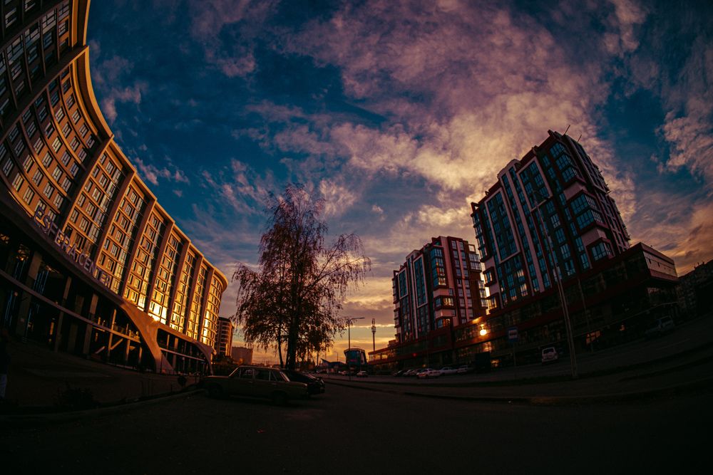 Фотография автора Дмитрий Referee