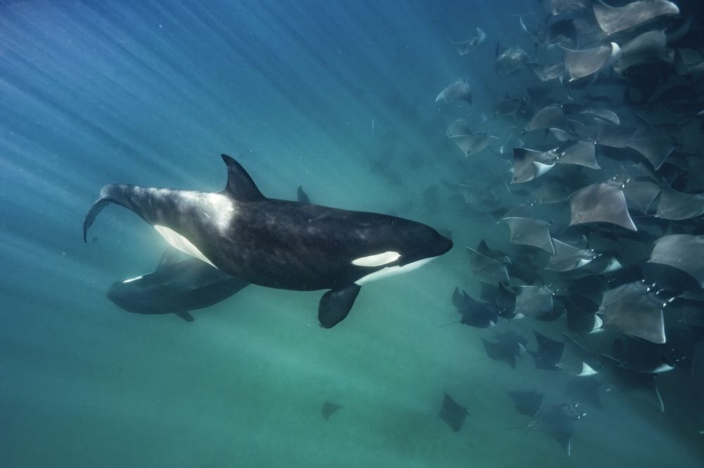 Photograph by Merche Llobera