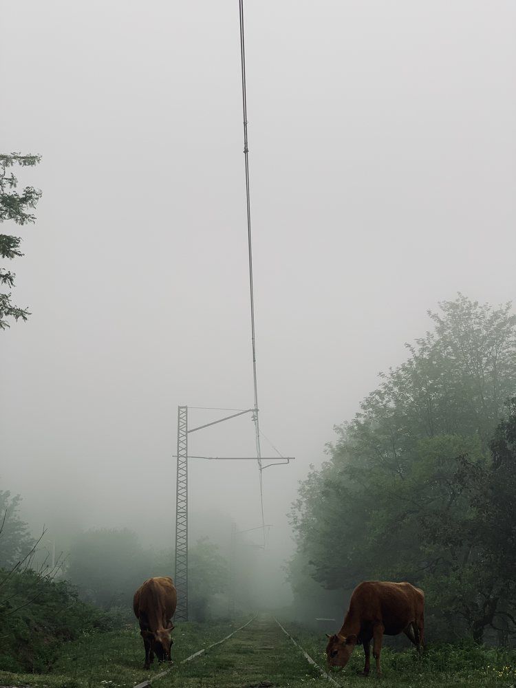 Photograph by Константин Дерюгин