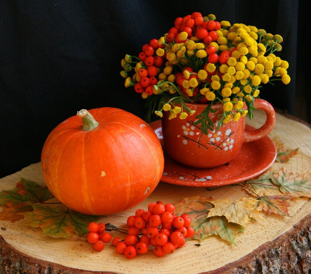 Photograph by Алена Ходатович