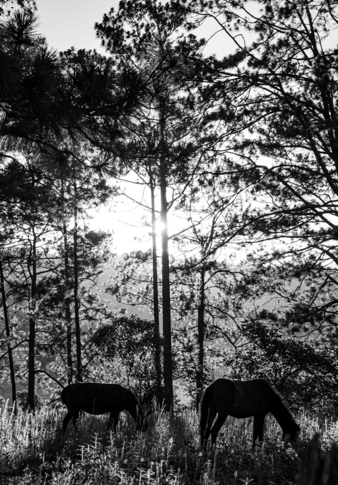 Photograph by Leonardo Ramos