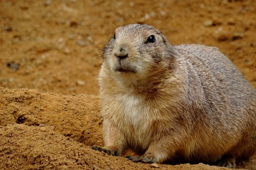 Photograph by Марина Раткун