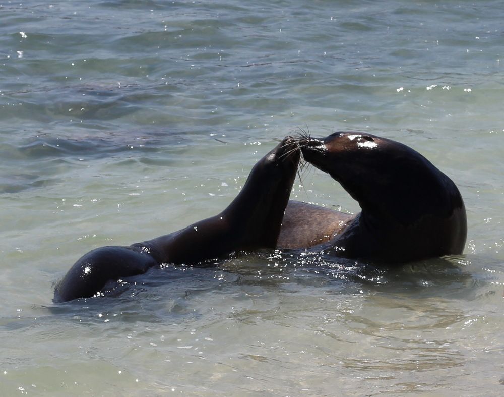 Photograph by Валентина