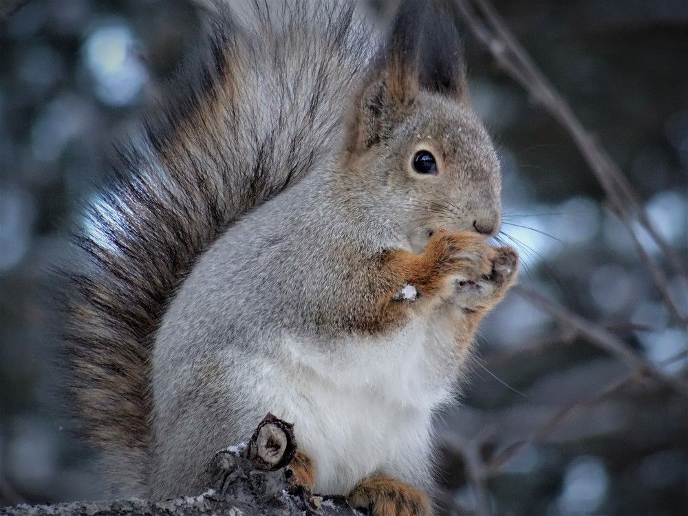 Photograph by Марина Раткун