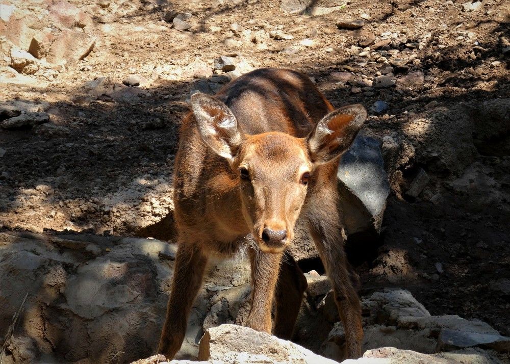 Photograph by Марина Раткун