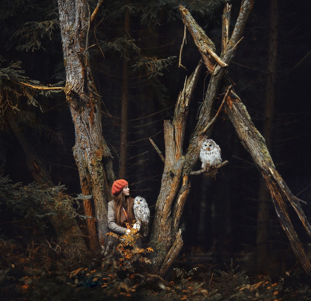 Фотография автора Мельникова Анна