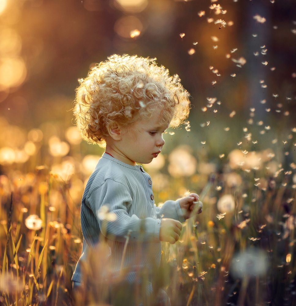 Фотография автора Мельникова Анна