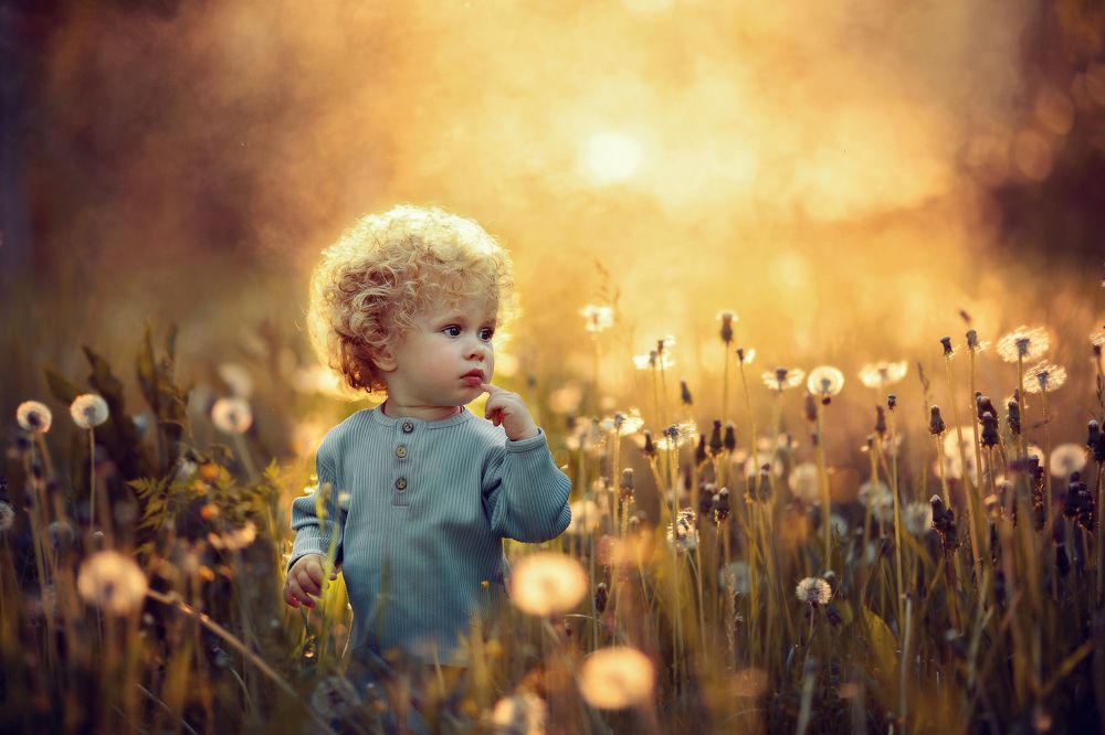 Фотография автора Мельникова Анна