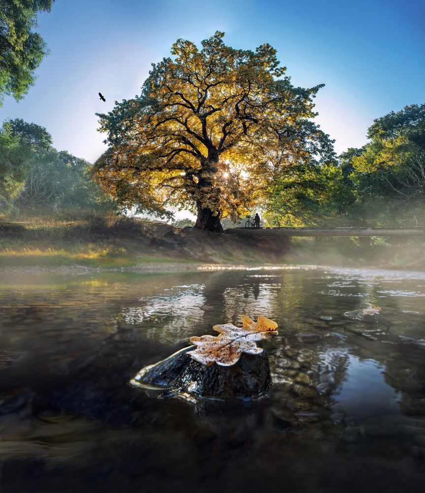 Страж Бельбека