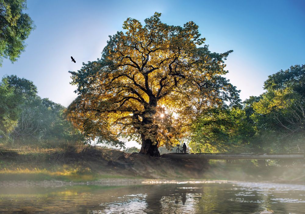 Photograph by Зацаринная Мария