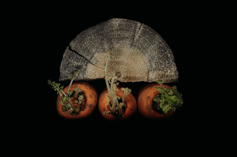 Фотография автора Наталья Алексеева