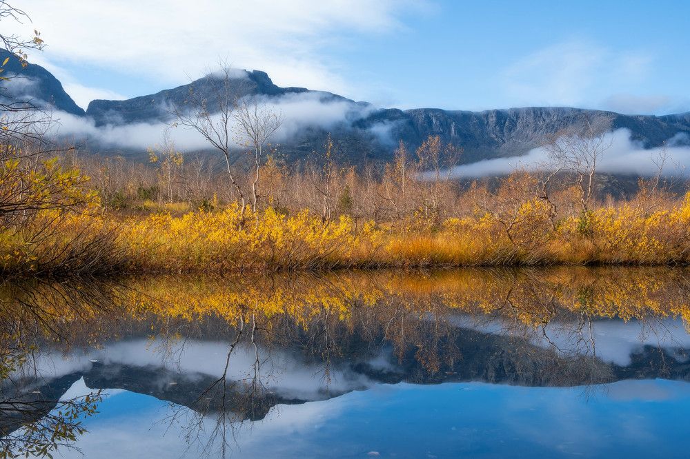 Photograph by Михаил Азаров