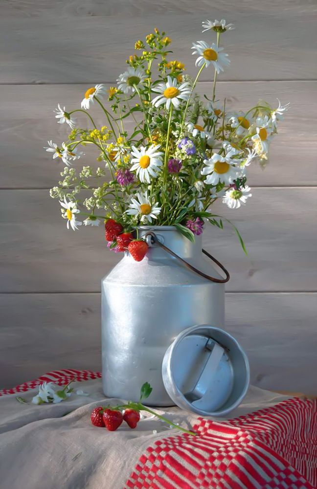 Photograph by Mila Laine