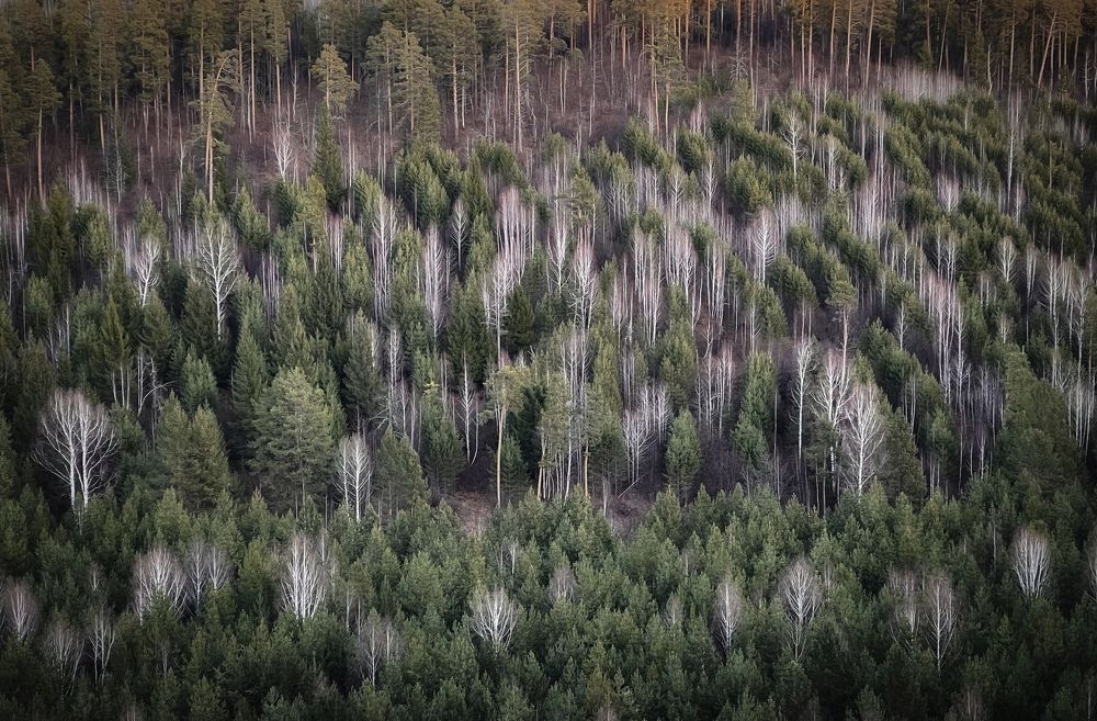 Фотография автора Дарья Кузнецова