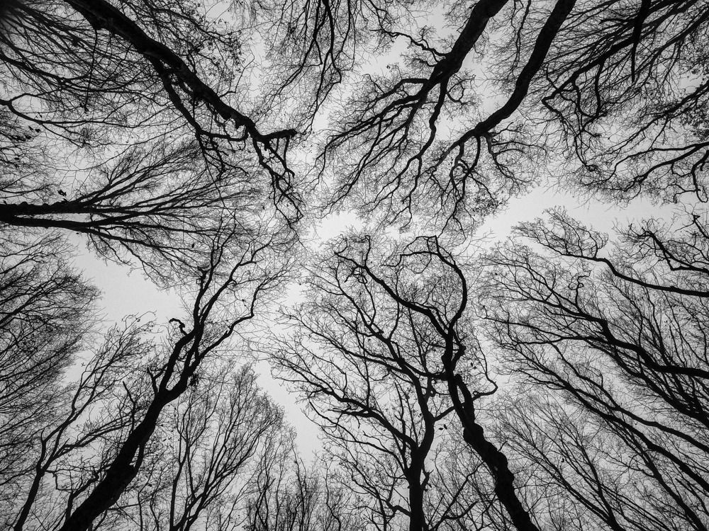 Photograph by Виталий Маслов