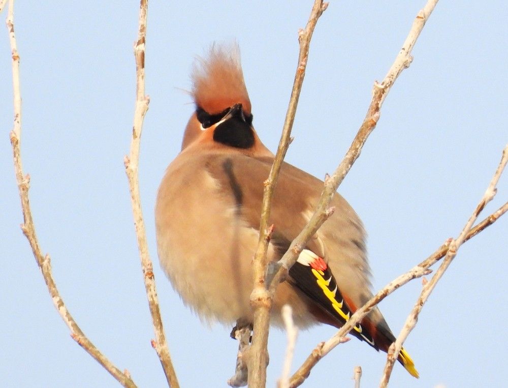 Photograph by Владимир Джерихов