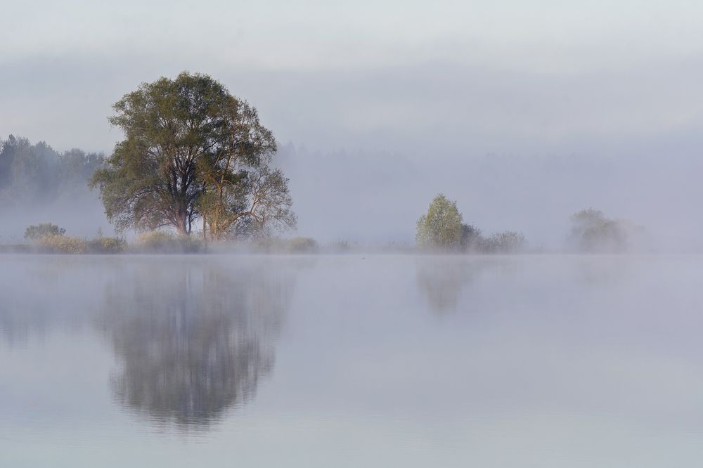 Photograph by Волоцков Александр