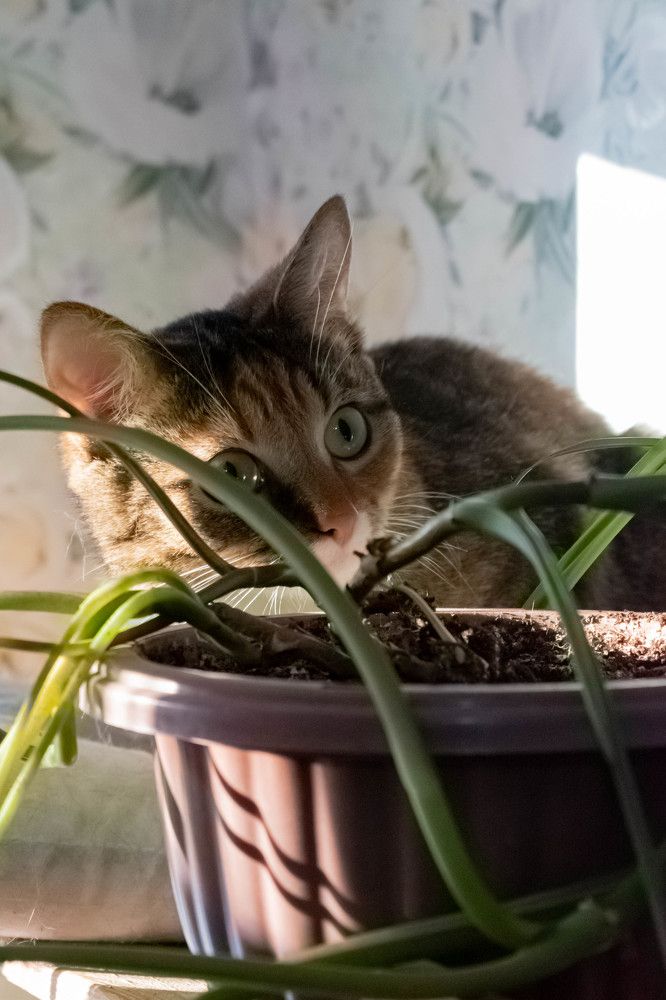 Photograph by Михаил Костыря