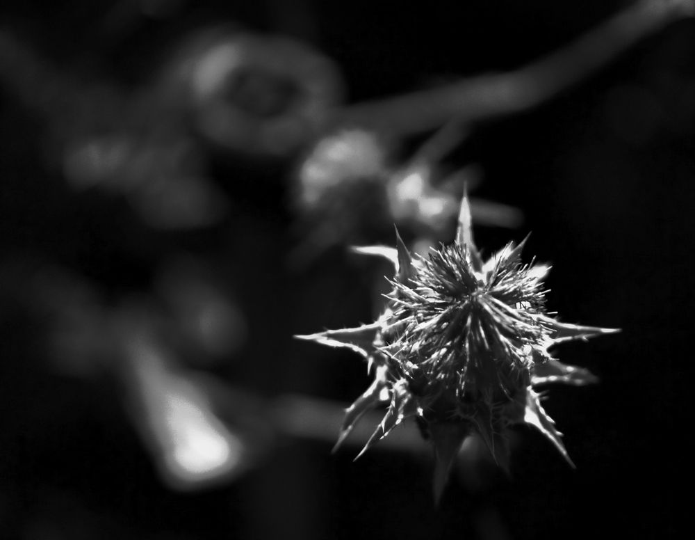 Photograph by Баженова Наталья