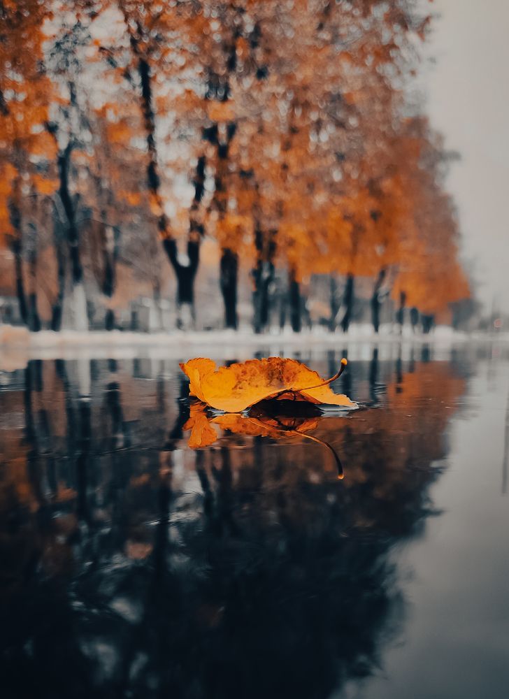 Photograph by Ольга Попова