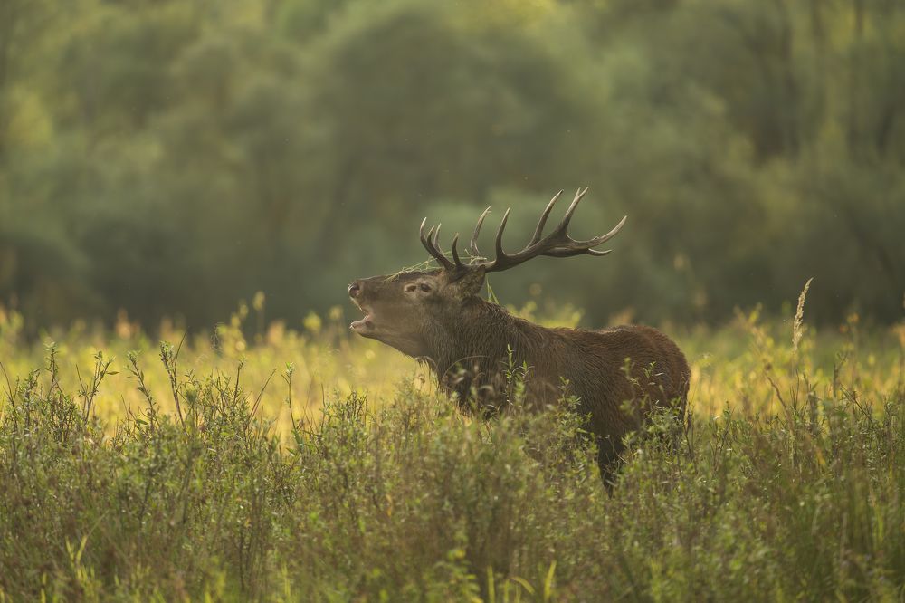 Photograph by Krzysztof Korc