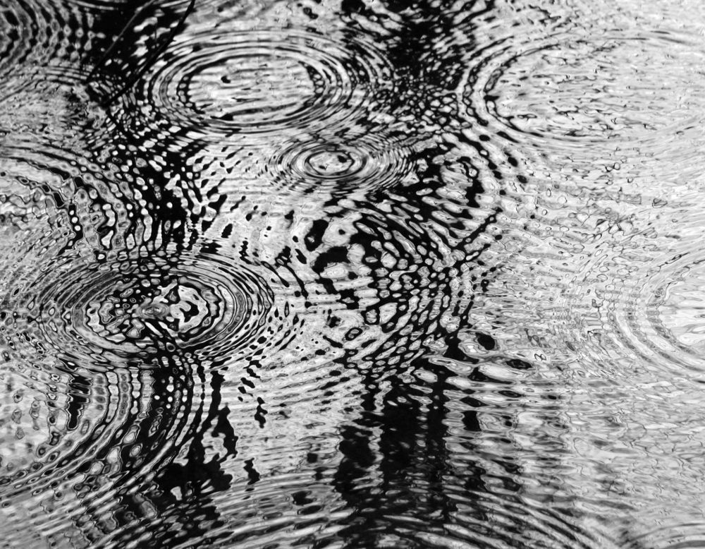 Photograph by Лена Максимкина