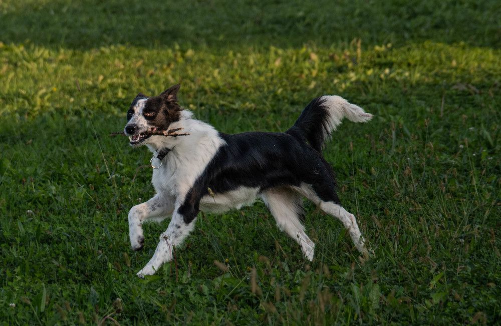 Photograph by sharron Ben Ari