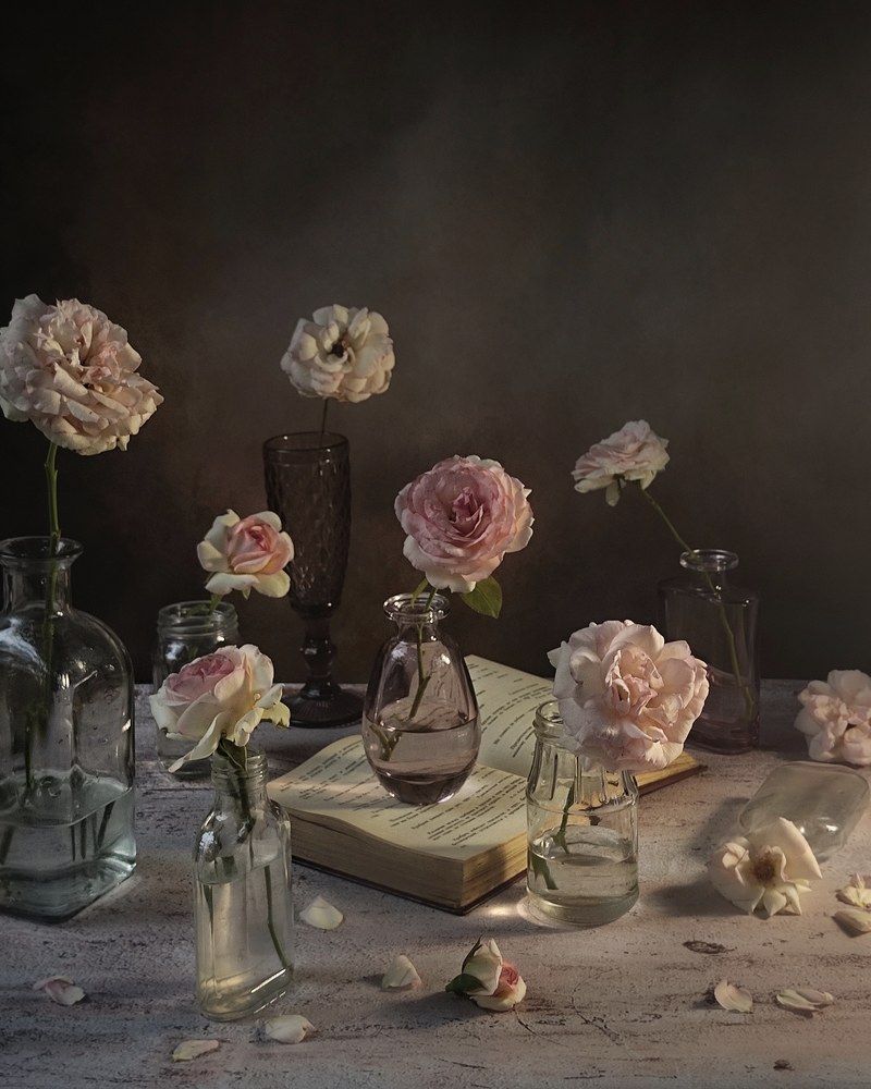 Фотография автора Инга