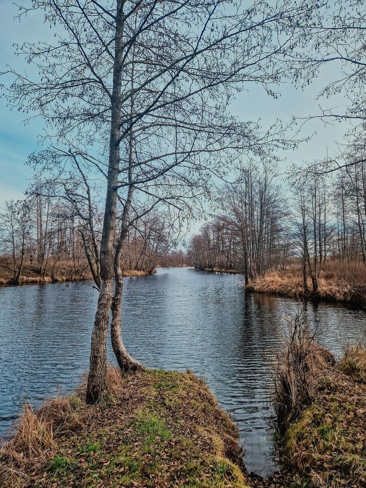 Photograph by Елена Семкина