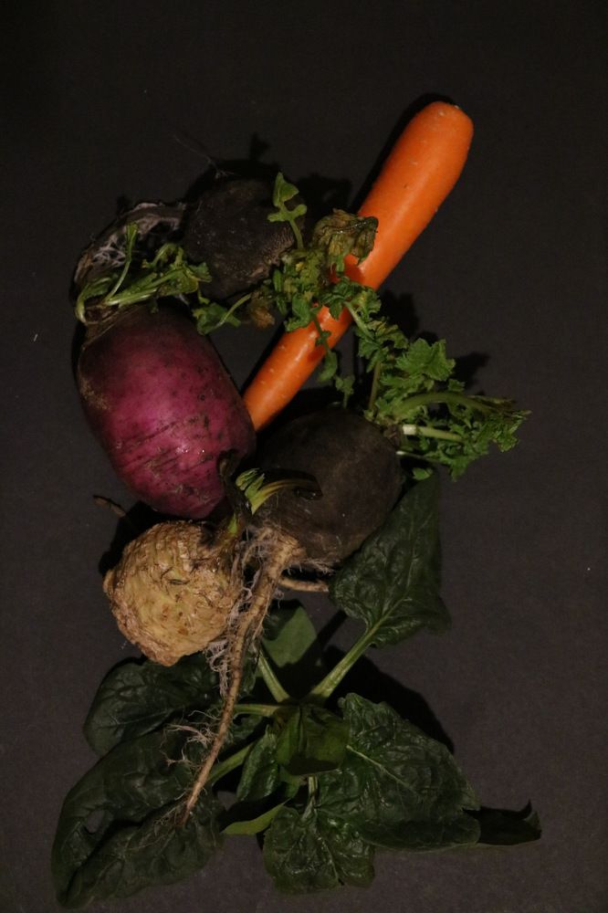 Photograph by Cengiz Yalcin