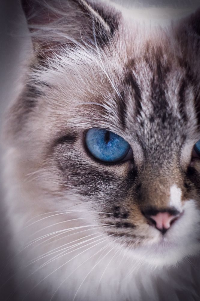 Photograph by Евгения Путинцева