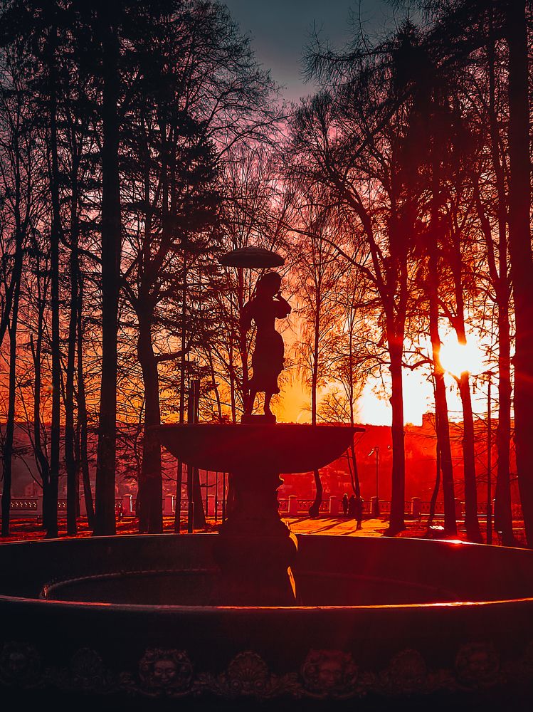 Photograph by Юлия Реутова