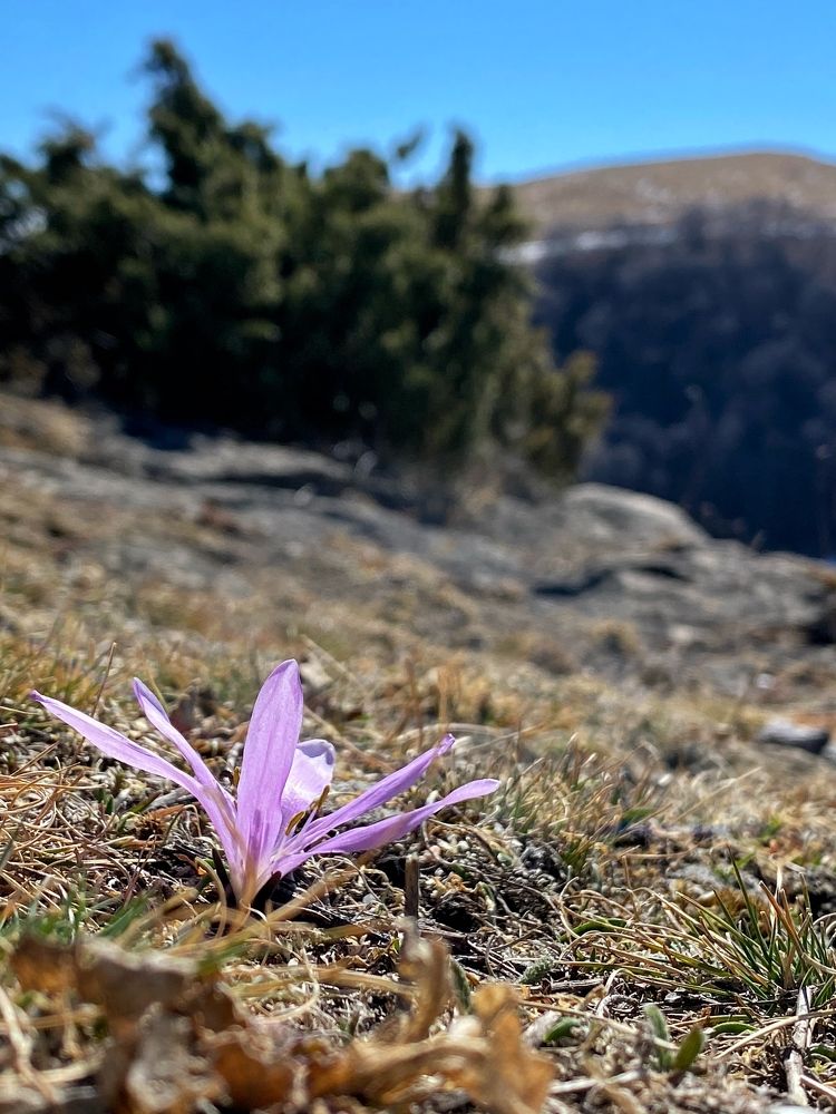 Photograph by Татьяна Степанова