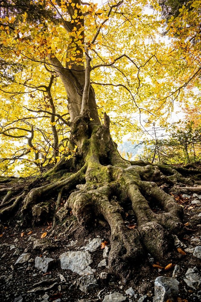 Photograph by Artur Duda