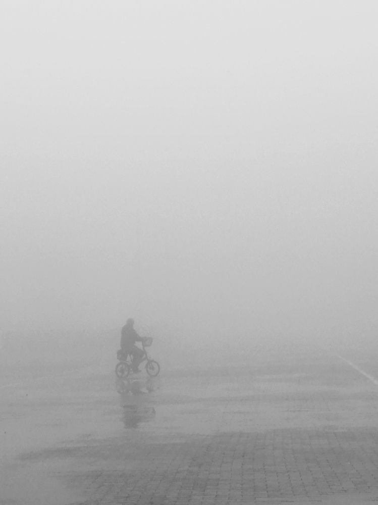 Photograph by Ольга Мокрова