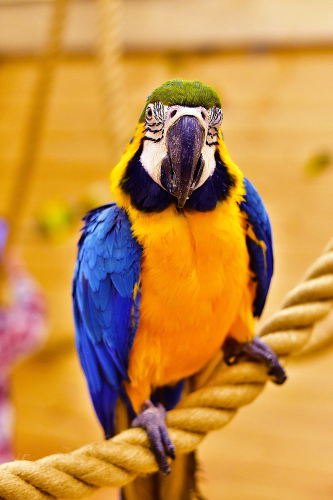 Photograph by Cергей Землянский