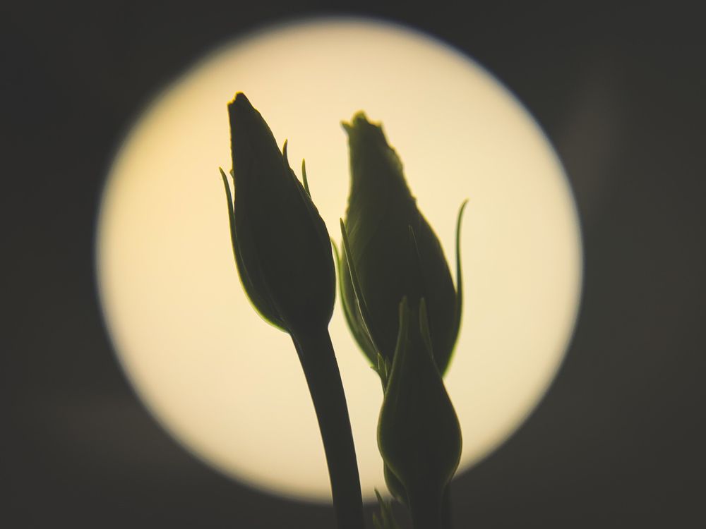 Начало пути.