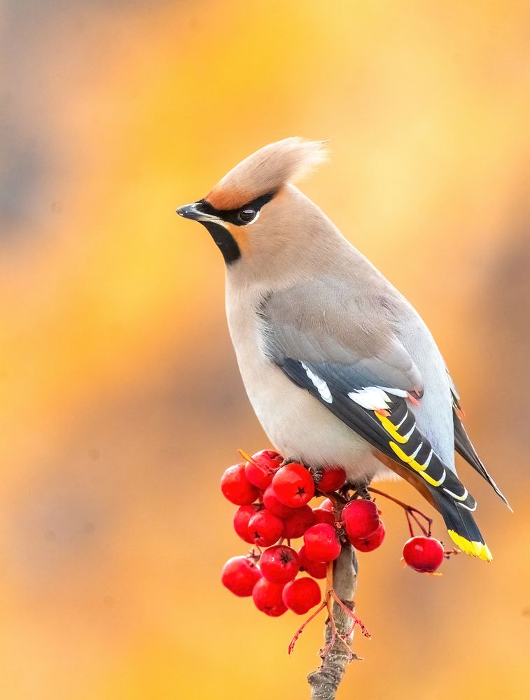 Photograph by Власов Егор