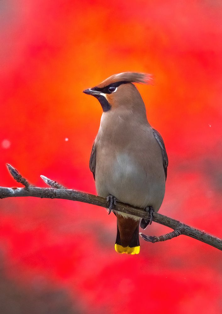 Photograph by Власов Егор