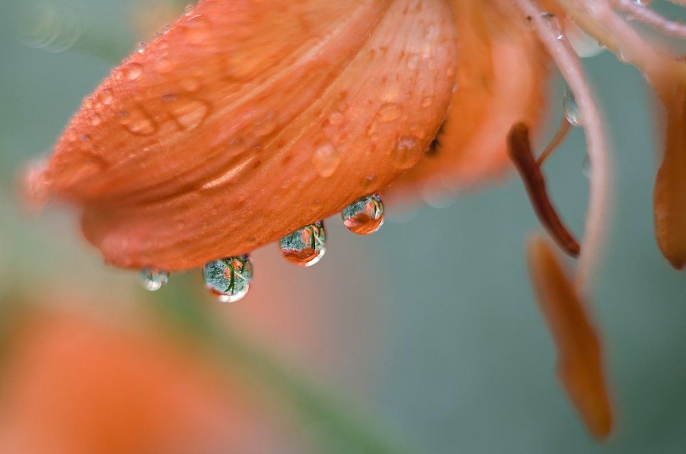 После дождя