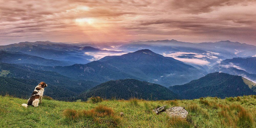 Photograph by Нил Шакилов