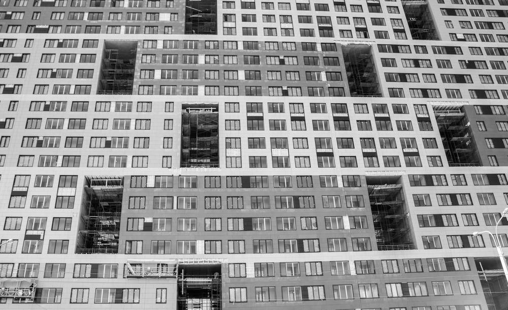 муровейник 2015