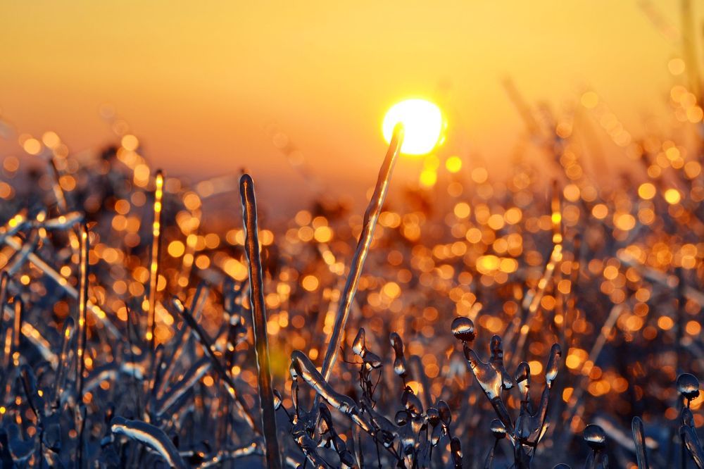 Зимняя карамель