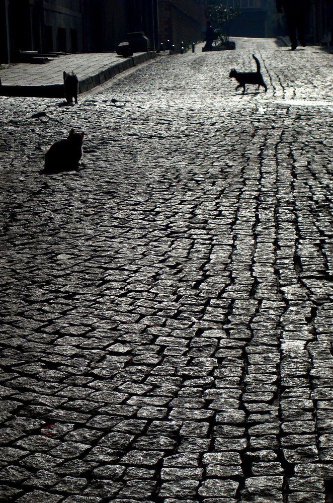 Photograph by Arzu Murvatova