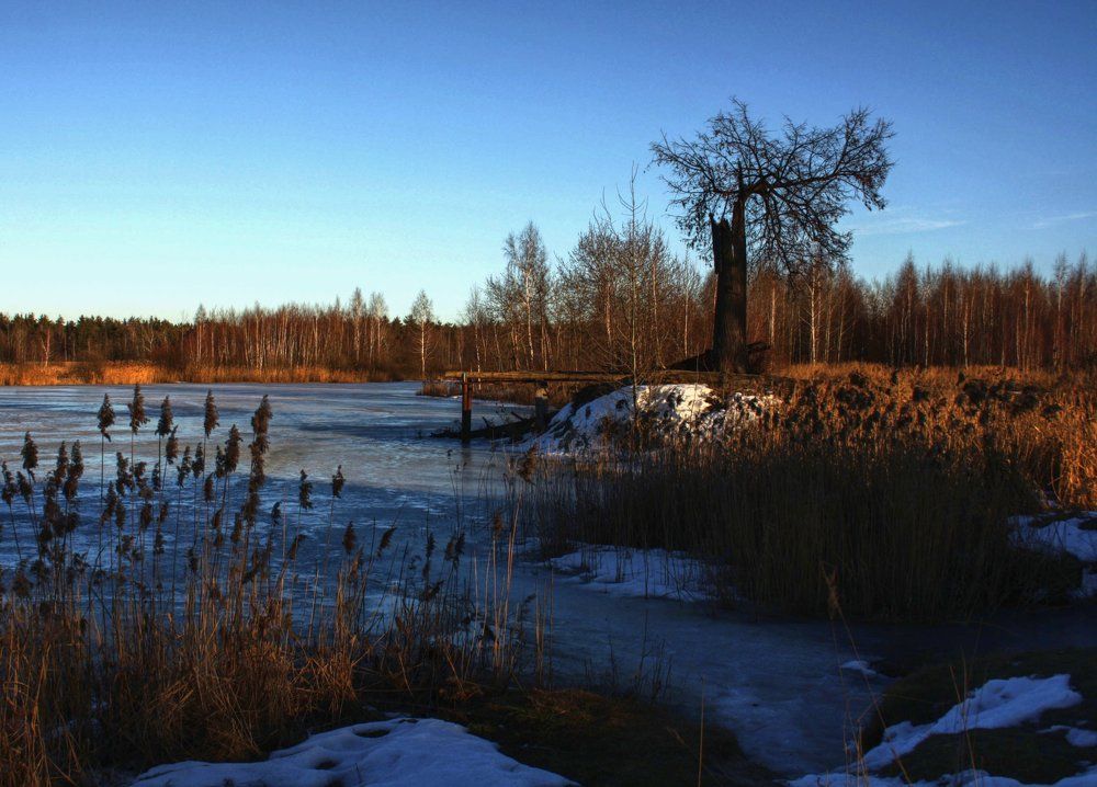 Ранняя весна.....