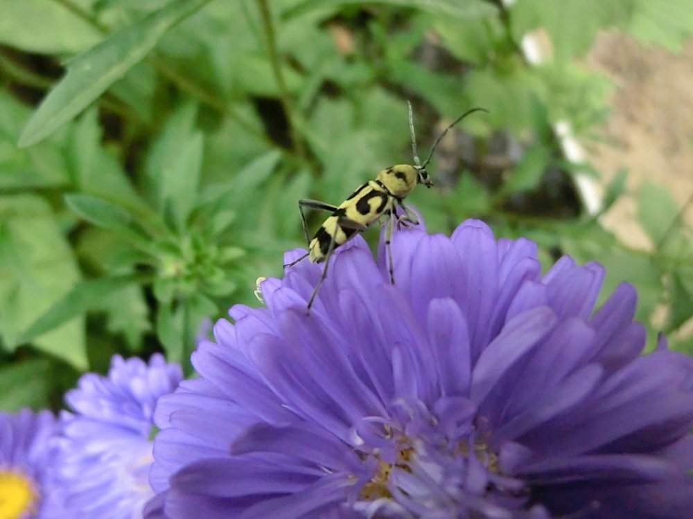 Photograph by Вячеслав Огурцов