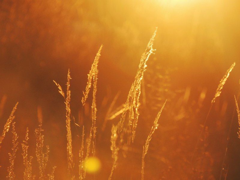 Айгуль, Russia