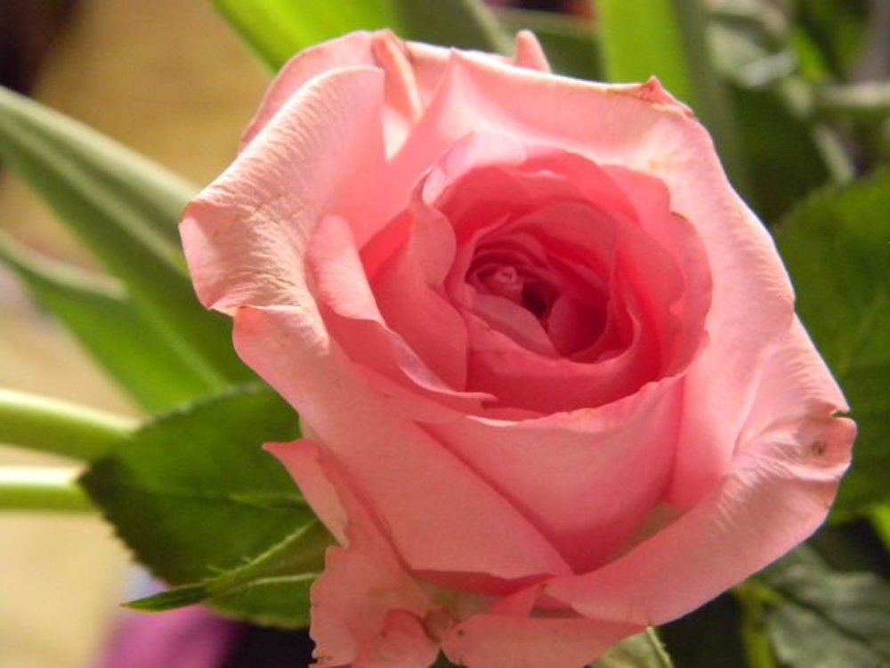 Photograph by Нелли